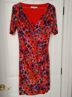 EVAN PICONE Size 14 dress